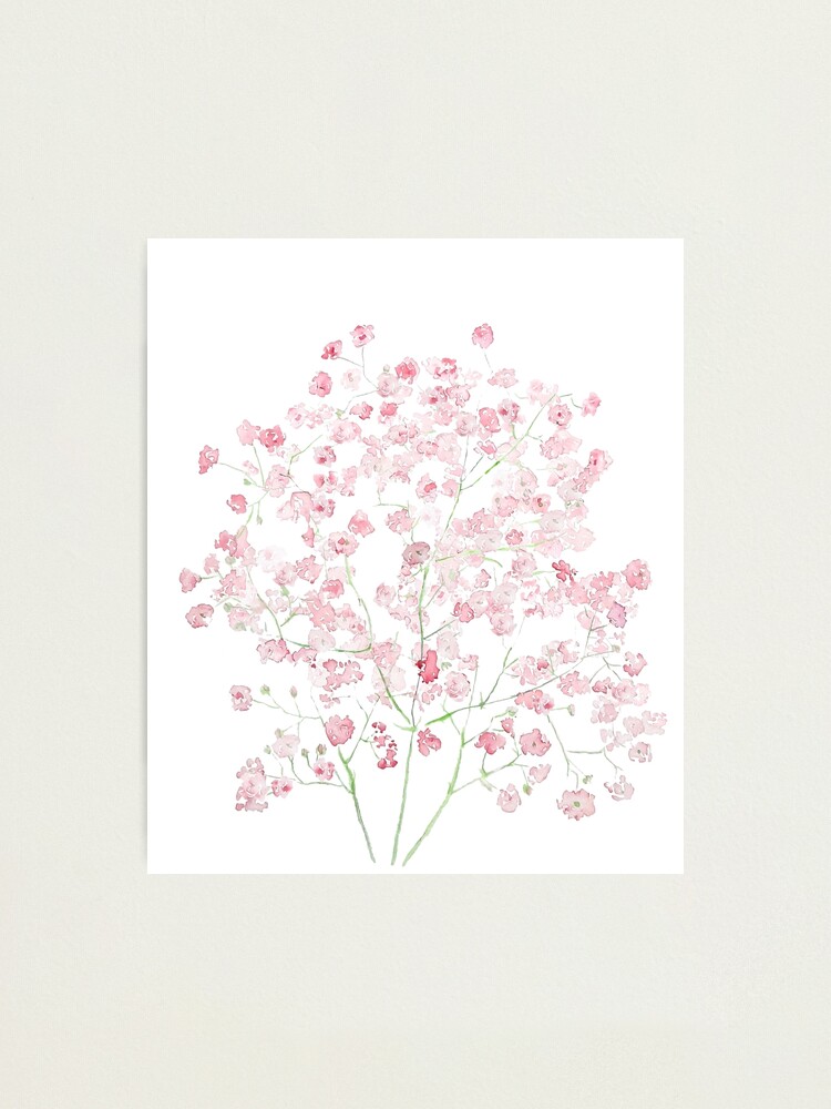 light pink Baby Breath Bouquet gypsophila watercolor painting