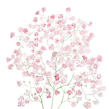Artwork thumbnail, light pink Baby Breath Bouquet gypsophila watercolor painting  by ColorandColor