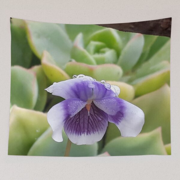 Item preview, little violet in the morning designed and sold by TessAndre.