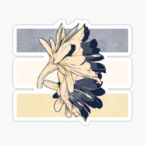Mandacaru Cactus flower Sticker