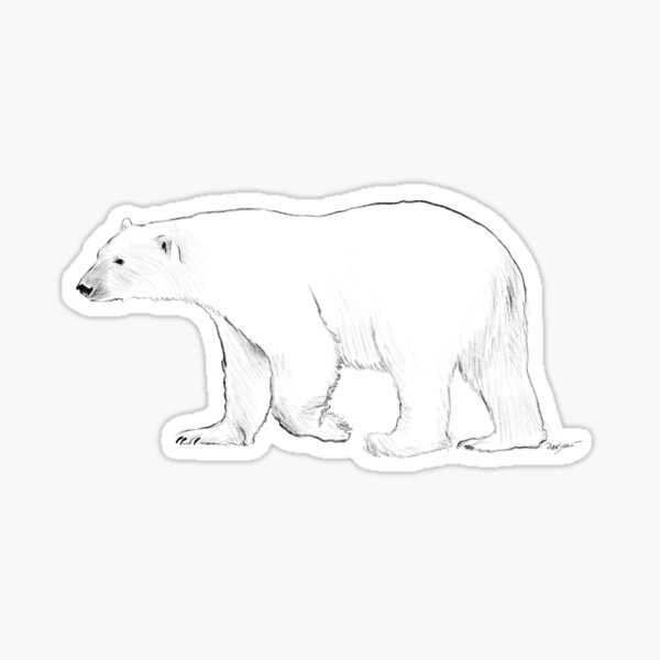 Polar Bear Art - Polar Bear - Sticker