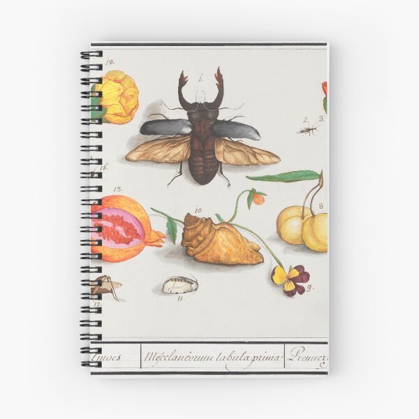 Item preview, Natural History Ensemble, no. 1 (1596–1610) by Anselmus Boëtius de Boodt designed and sold by digitalvintage.