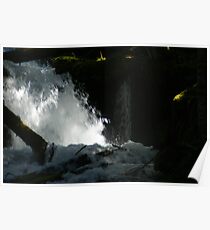 Big Creek Falls, Washington Poster