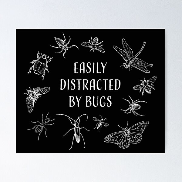 Insects from the Kanto Region | Art Print