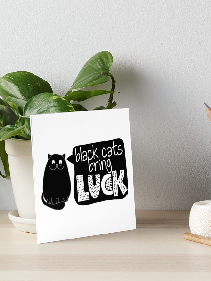 Impression Rigide Les Chats Noirs Portent Chance Conception De Citation Drole Avec Chat Noir Grincheux Par Zsuskaa Redbubble