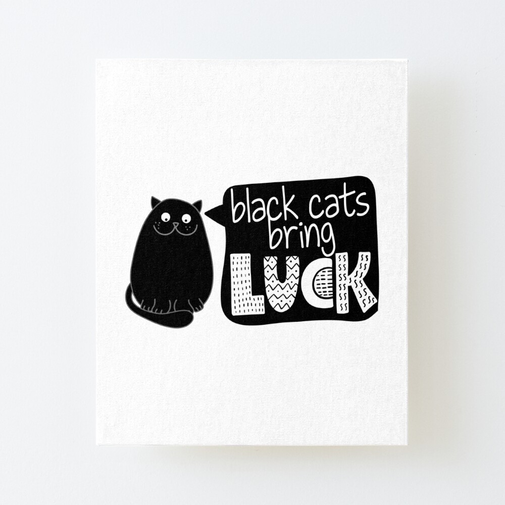 Impression Rigide Les Chats Noirs Portent Chance Conception De Citation Drole Avec Chat Noir Grincheux Par Zsuskaa Redbubble