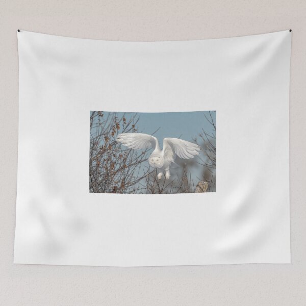 Item preview, Snowy Owl Take Off designed and sold by Simpsonwildlife.