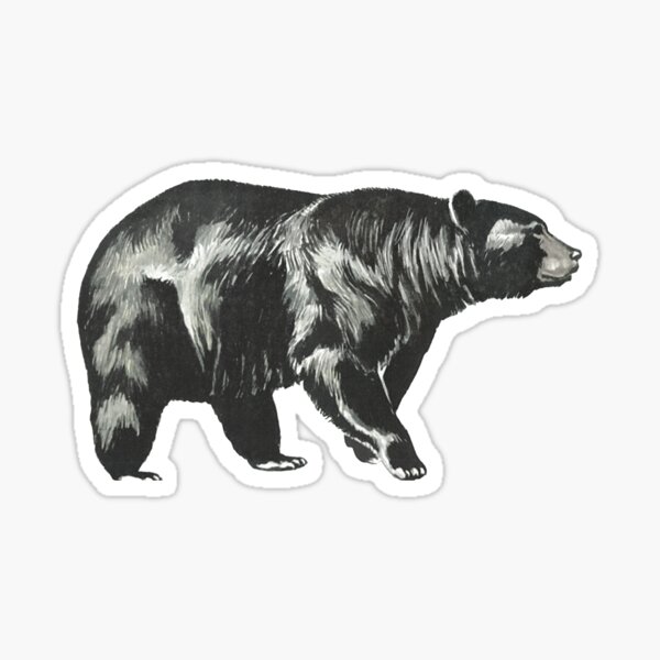 Bear - Big ol' Bear Sticker