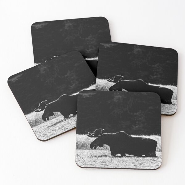 Item preview, Back Light B&W Bull Moose designed and sold by Simpsonwildlife.