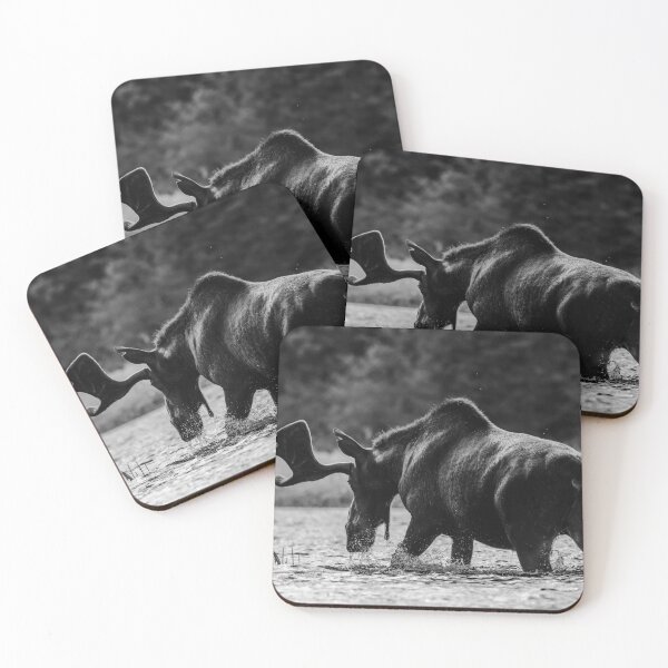 Item preview, B&W Bull Moose designed and sold by Simpsonwildlife.