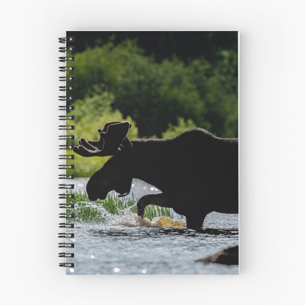 Item preview, Back Light Bull Moose designed and sold by Simpsonwildlife.
