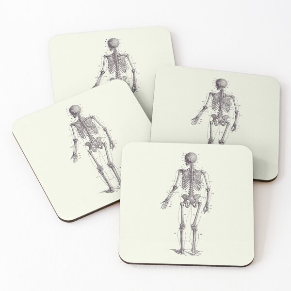 Item preview, Backward Facing Skeletal Diagram - Vintage Anatomy Print 2 designed and sold by VAposters.