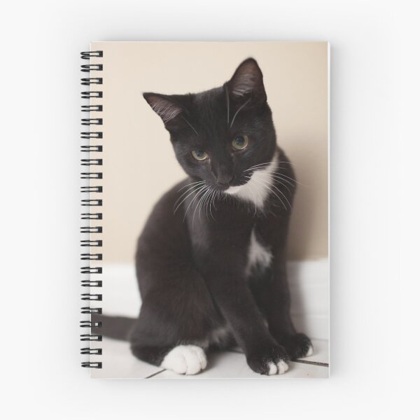 Item preview, Gabby is interested                                                               designed and sold by andyman82.