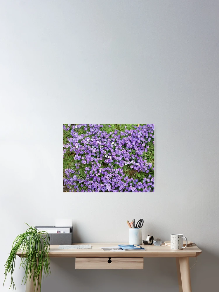 Thumbnail 2 of 3, Poster, Purple Delight designed and sold by RJBPhotoDesign.