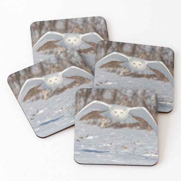 Item preview, Snowy Owl coming right at you designed and sold by Simpsonwildlife.