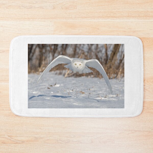 Item preview, Snowy Owl coming right at you designed and sold by Simpsonwildlife.