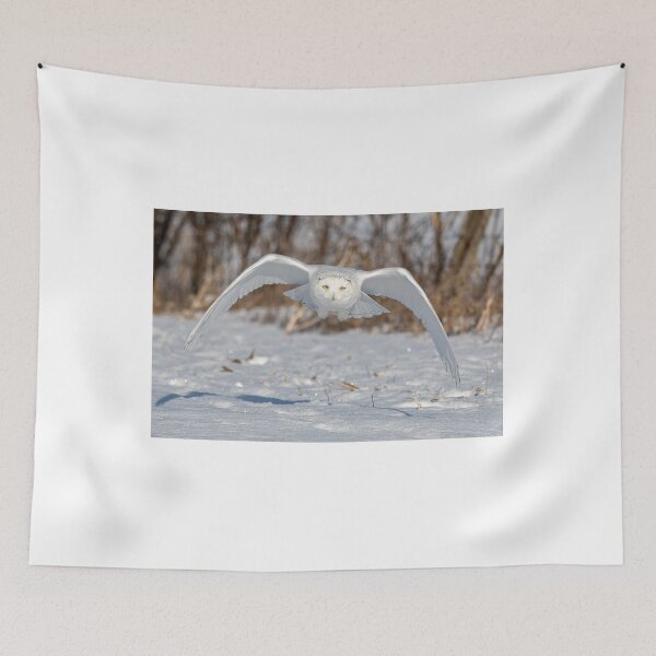 Item preview, Snowy Owl coming right at you designed and sold by Simpsonwildlife.