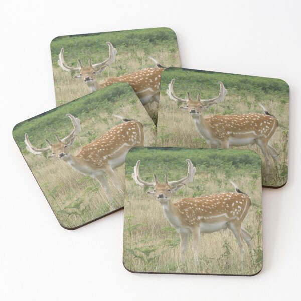 Item preview, Funny Face Fallow Deer Stag Photoghraph designed and sold by naturegallery.
