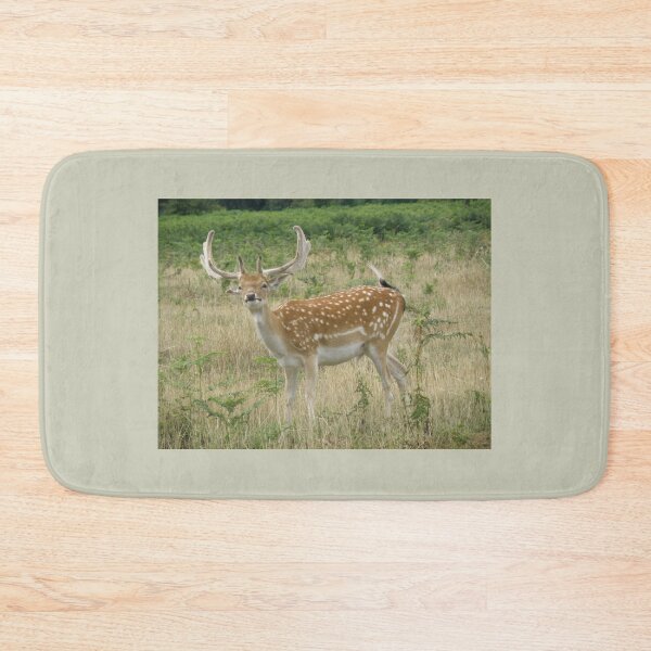 Item preview, Funny Face Fallow Deer Stag Photoghraph designed and sold by naturegallery.