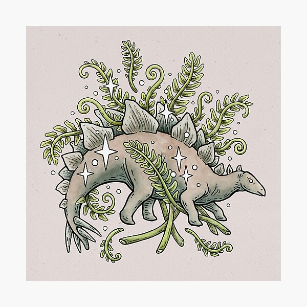 Stegosaurus & Ferns | Dinosaur Botanical Art Photographic Print
