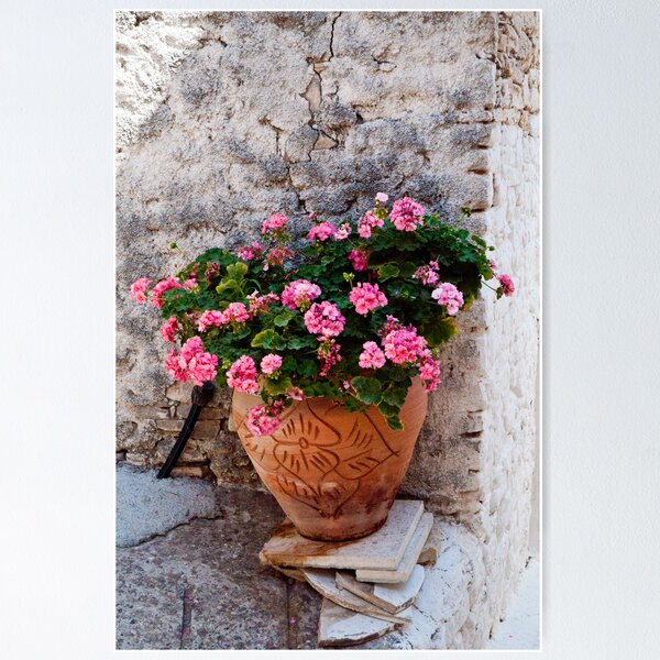 Item preview, Flowers at Omodos  designed and sold by Jenny1611.