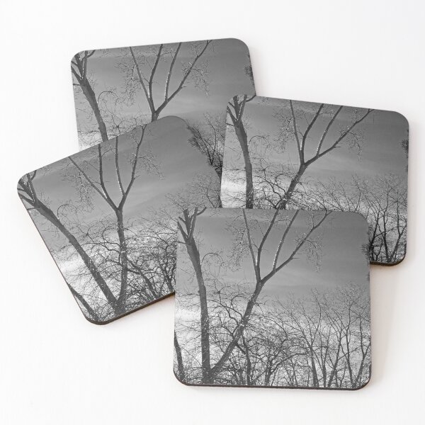 Item preview, Winter trees against a dark sky designed and sold by cuisinecat2.