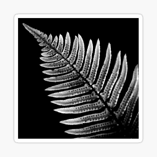 Item preview, Monochrome Fern I designed and sold by alipascal.
