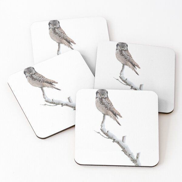 Item preview, Northern Hawk Owl designed and sold by Simpsonwildlife.
