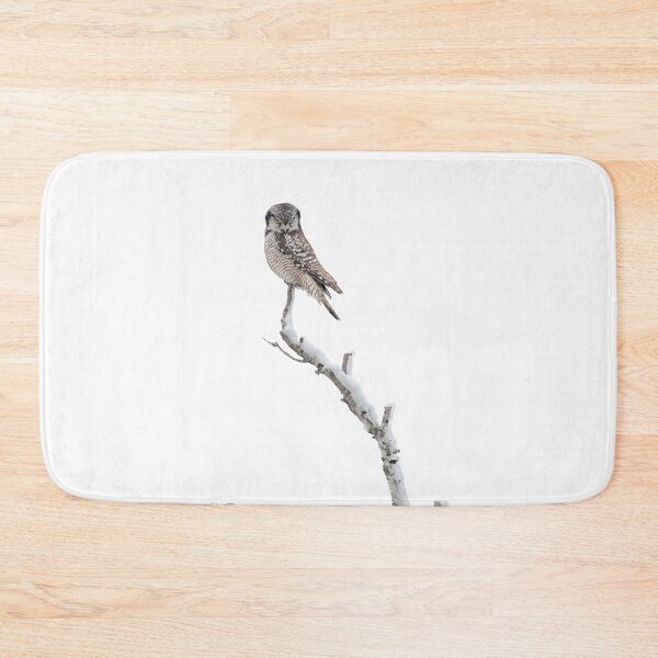 Item preview, Northern Hawk Owl designed and sold by Simpsonwildlife.