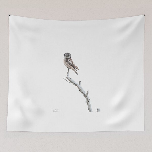 Item preview, Northern Hawk Owl designed and sold by Simpsonwildlife.