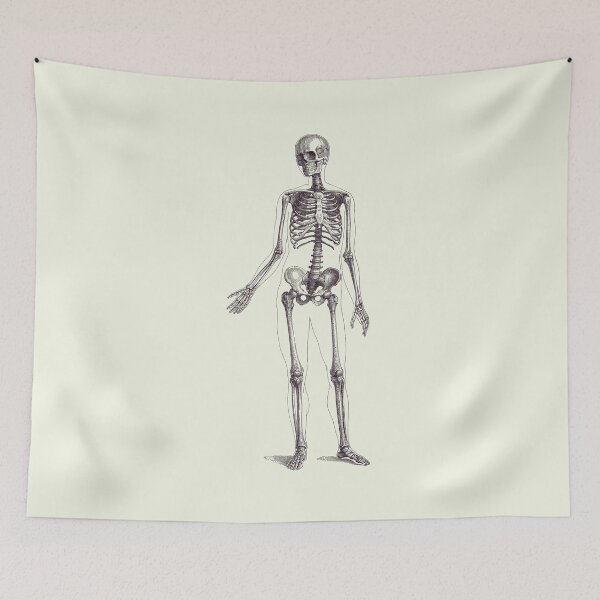 Item preview, Full Body Skeleton - Vintage Anatomy Poster 2 designed and sold by VAposters.