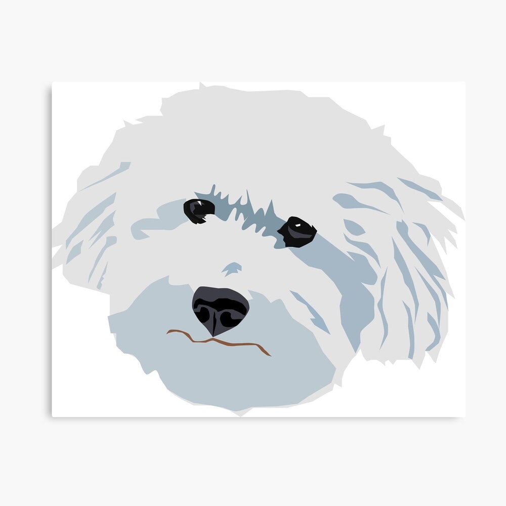 Teddy Bichon Poodle White Dog Face Good Boy Illustration Photographic Print By Mariaworkman Redbubble