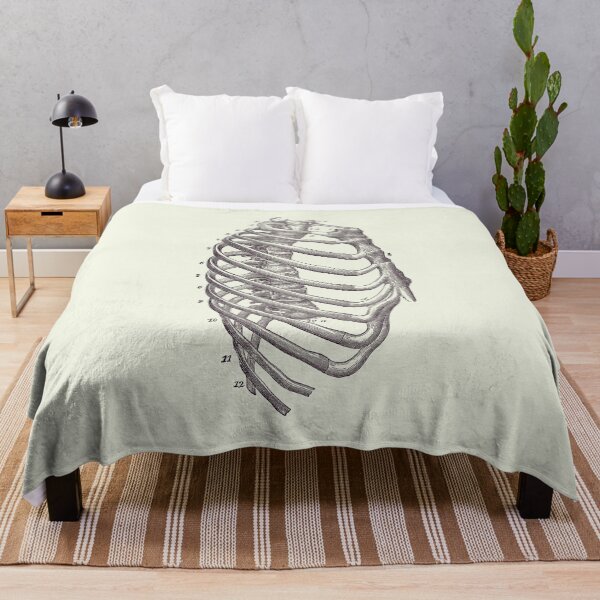 Item preview, Rib Cage Diagram - Vintage Anatomy Print 2 designed and sold by VAposters.
