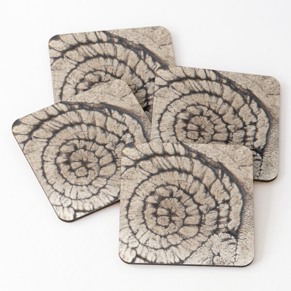 Item preview, Grey pottery surface with a fossil texture. designed and sold by Zosimus.