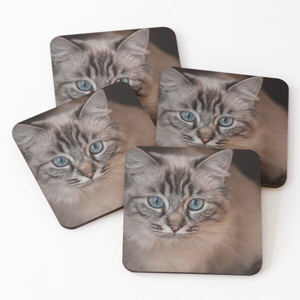 Item preview, Ragdoll cat designed and sold by ImagineKaye.