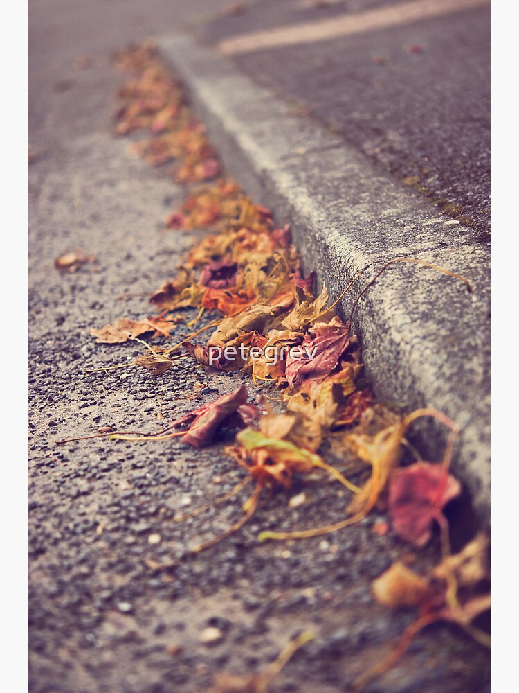Day 74 - 22nd September 2011 by petegrev