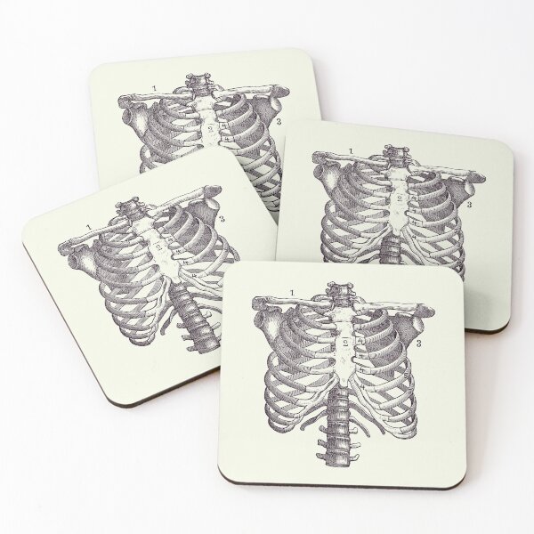 Item preview, Shoulder and Rib Cage Diagram - Vintage Anatomy Poster 2 designed and sold by VAposters.