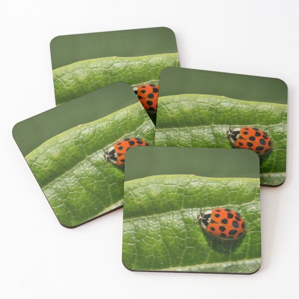 Item preview, Ladybug on a leaf designed and sold by ImagineKaye.