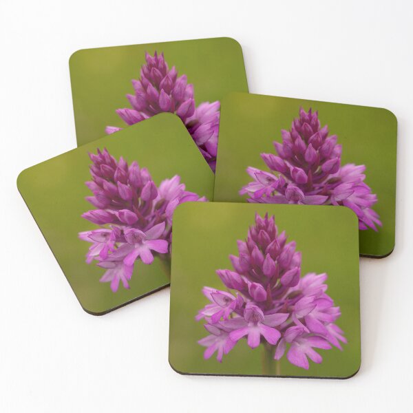 Item preview, Pyramidal Orchid Nature Photo designed and sold by Dan Newton.