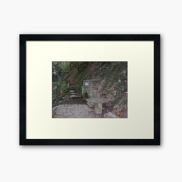 UNA FONTE GORGOGLIA...Italy Framed Art Print