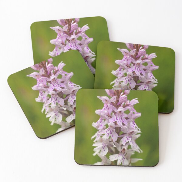 Item preview, Common Spotted Orchid Photo designed and sold by Dan Newton.
