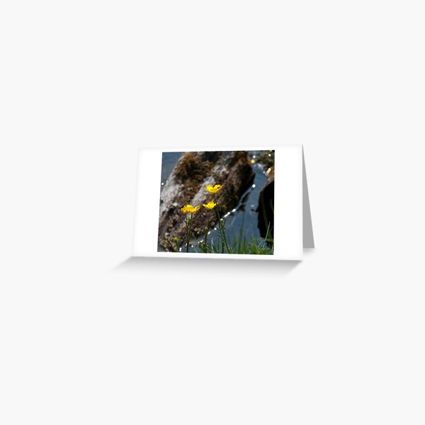 Item preview, Buttercups by the glistening river designed and sold by Wealie.