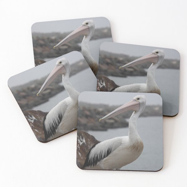 Item preview, Pelican Beauty designed and sold by Diana Grunwald.
