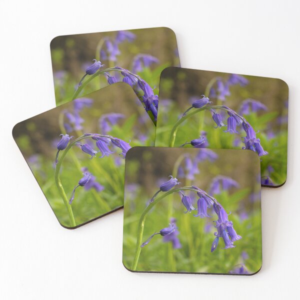 Item preview, Common Bluebells Photo designed and sold by Dan Newton.