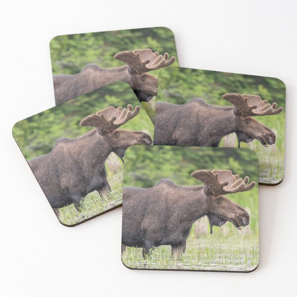 Item preview, Bull Moose designed and sold by Simpsonwildlife.
