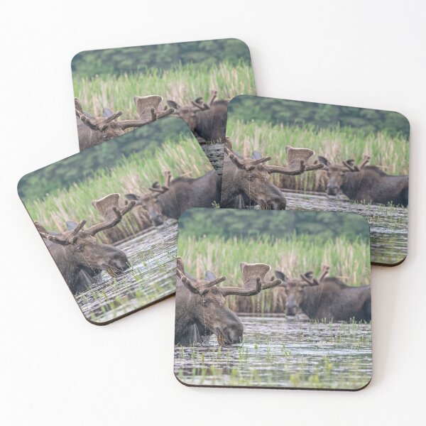 Item preview, Two Bull's feeding together designed and sold by Simpsonwildlife.