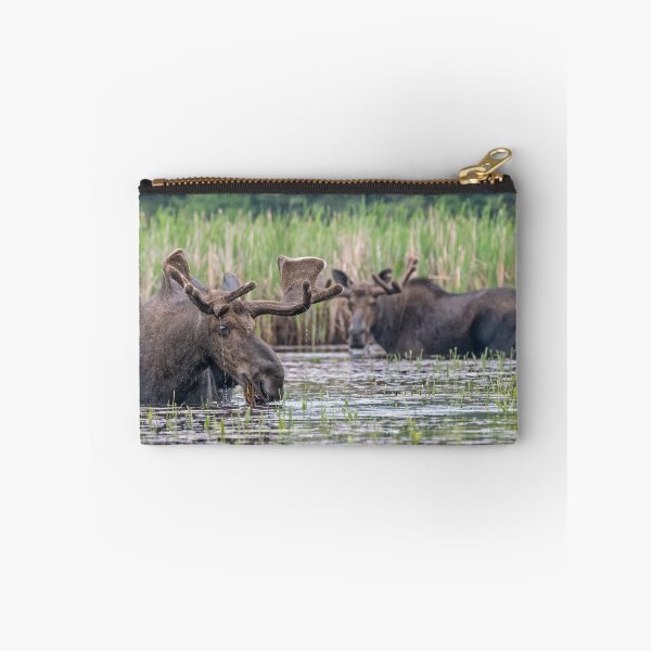 Item preview, Two Bull's feeding together designed and sold by Simpsonwildlife.
