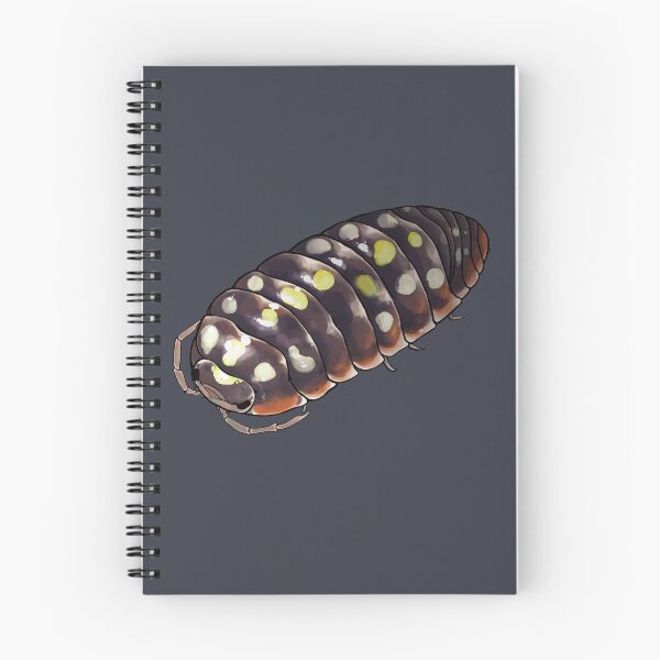 Item preview, Armadillidium klugii "montenegro" Isopod designed and sold by Morgan Carpenter.