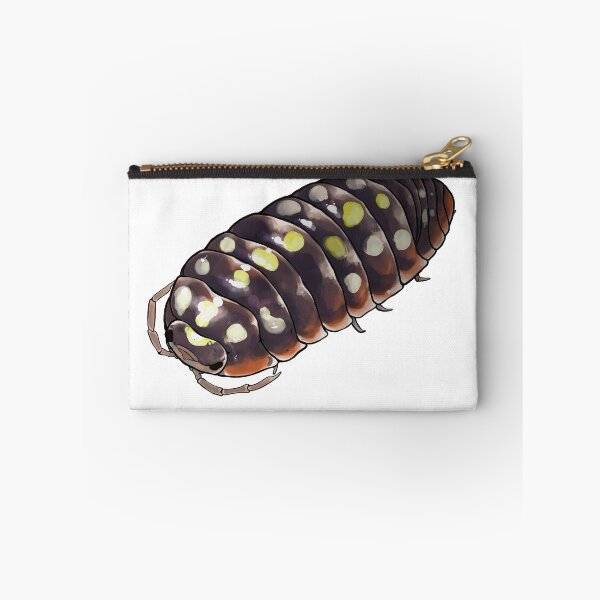 Item preview, Armadillidium klugii "montenegro" Isopod designed and sold by Morgan Carpenter.
