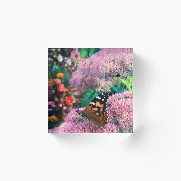 Monarch Butterfly Acrylic Block
